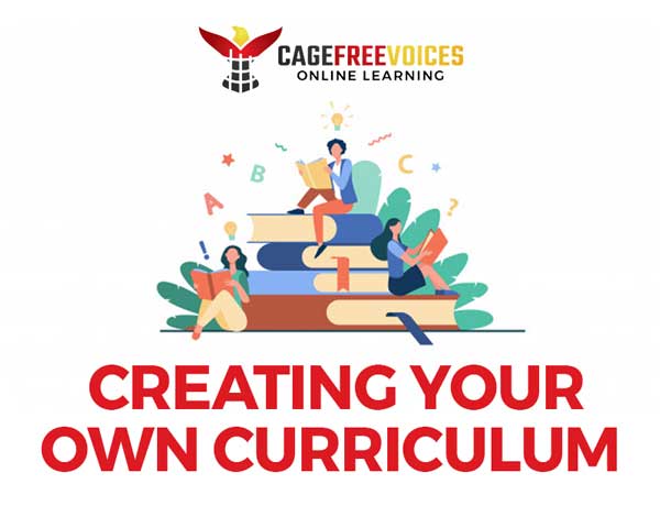 Creating Your Own Curriculum