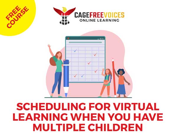 Scheduling for Virtual Learning When You Have Multiple Children