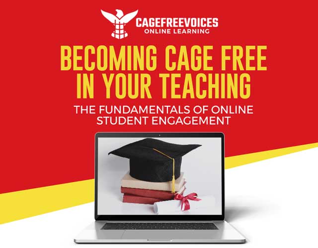 Becoming Cage Free in Your Teaching: The Fundamentals of Online Student Engagement